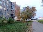 В Курске на улице Союзной уже две недели дерево находится в аварийном состоянии