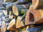В Курске экс-работника РЖД оштрафовали на 1,5 млн за вырубку 374 деревьев