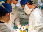 Курские медики провели сложную операцию по пересадке почки от брата к сестре