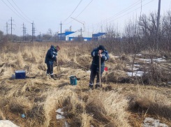 В Курской области вредный прошлогодний снег складировали с нарушениями