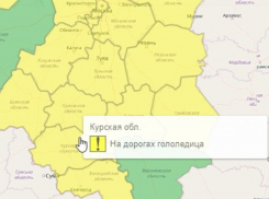 Гидрометцентр объявил в Курской области «желтый» уровень погодной опасности