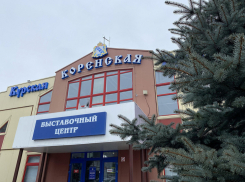 В местечке Свобода Курской области 18 и 19 января проведут Крещенскую ярмарку