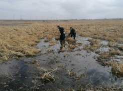 В Курской области водолазы достали из болота труп пропавшего 2 января мужчины