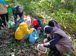 В Курской области школьники Щигровского района собрали еще 100 кг желудей