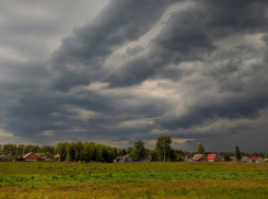 В Курской области из-за шквального ветра без света остались почти 500 домов