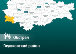 МЧС сообщило о новом обстреле курского поселка Теткино