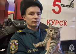 Кошка Оливка прижилась в одной из пожарных частей Курска
