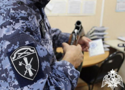 В Курской области сотрудники Росгвардии проверили еще 176 владельцев оружия