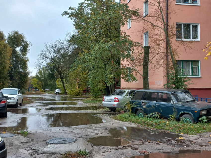 В Курской области 23 октября ожидается продолжение слякотной погоды