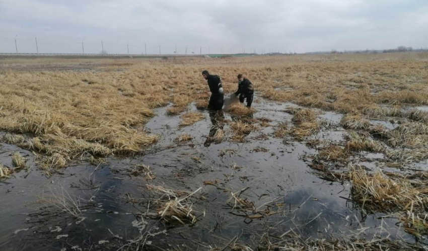 В Курской области водолазы достали из болота труп пропавшего 2 января мужчины