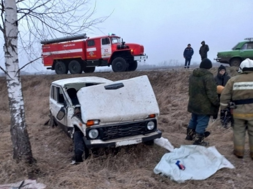 В Курской области опрокинулся в кювет внедорожник «Нива»