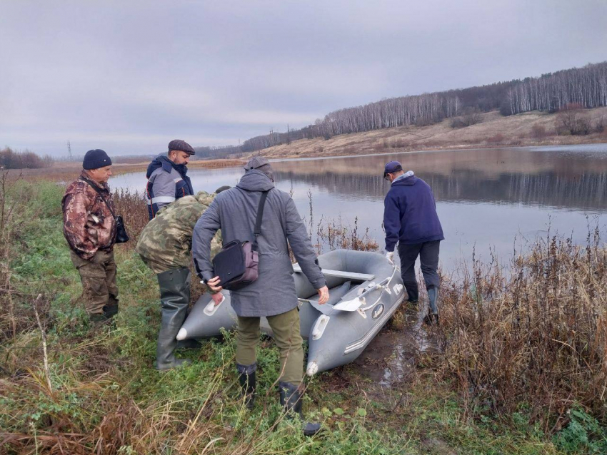 В Курске ловят не улетевшего на зимовку одинокого лебедя 