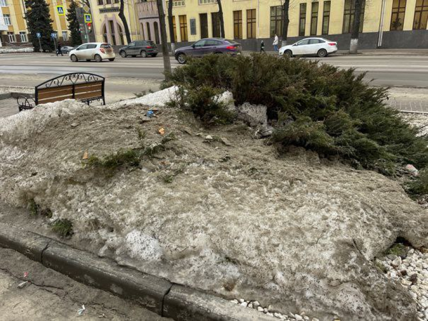 В Курской области 23 марта при +11 градусах можно чистить клумбы